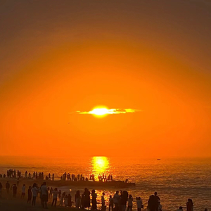 言嘉佑父子中秋免费看
