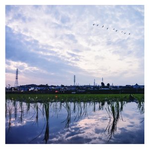 言嘉佑父子中秋免费看
